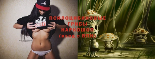 spice Бугульма