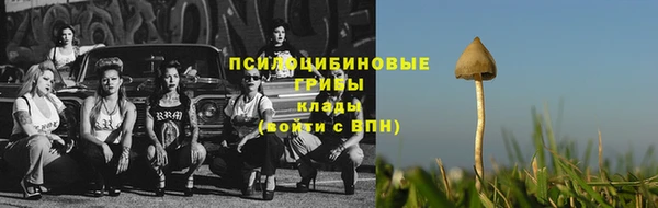 spice Бугульма
