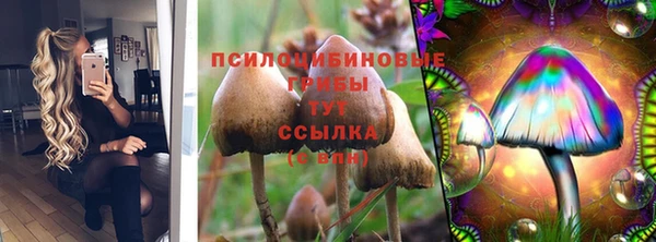 MDMA Бородино