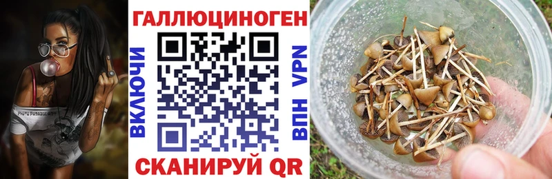 Псилоцибиновые грибы прущие грибы  даркнет сайт  Иланский 